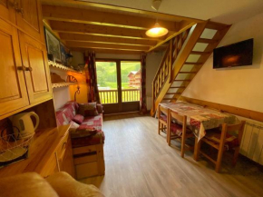 A proximité des pistes, 5 personnes, 1 mezzanine, 1 coin montagne - PL1B